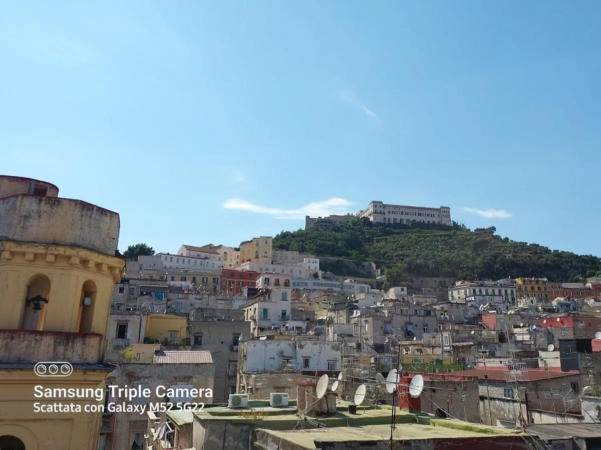 Toledo Panoramic Rooftop In Naples Apartment